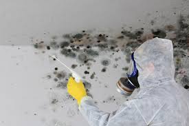 Mold Documentation for Insurance Claims in Country Knolls, NY